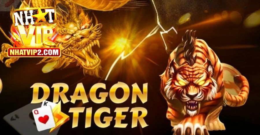 Hướng dẫn cách tham gia cược Dragon Tiger 2024