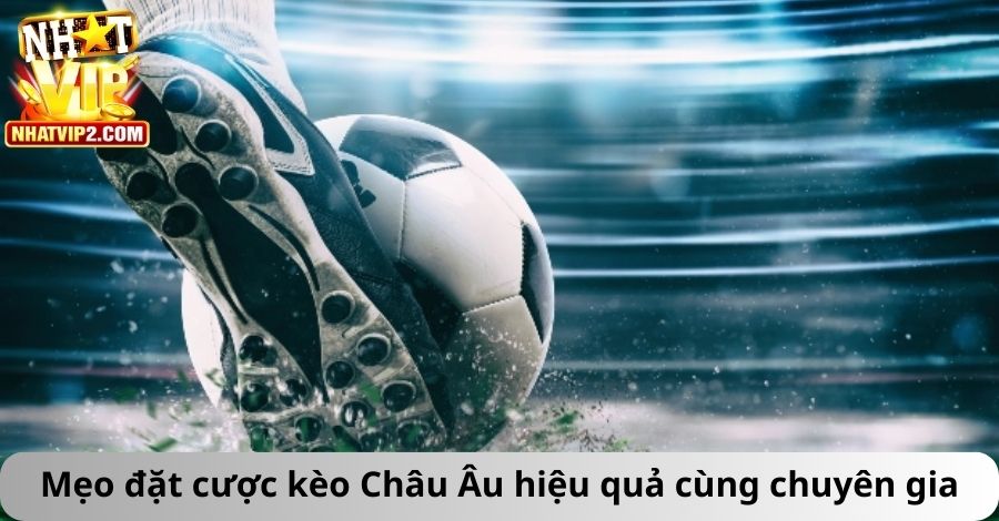 Mẹo đặt cược kèo Châu Âu hiệu quả cùng chuyên gia kinh nghiệm